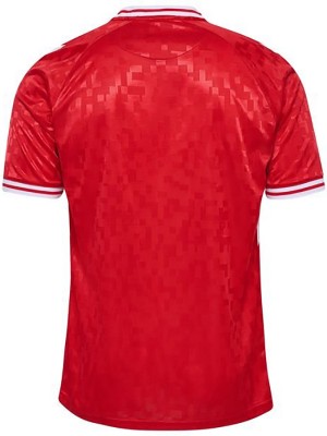 Denmark maillot domicile uniforme de football premier maillot haut de tenue de football sportswear homme coupe Euro 2024